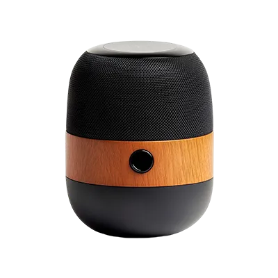 Players and speakers